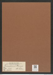 Triceratium thumii A. Schm. (de-Toni-Nr.: Genus 140, Species 3724) Zeichnungen Sammlung Grunow Mappe 03830 (Herbarium_W_Grunow_drawings_Folder_03830)